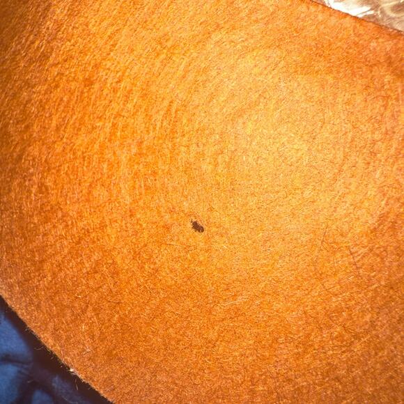 Signed '84 Furskins Bear Xavier Roberts Farmer Outfit Cabbage Patch Creator READ - Picture 14 of 16